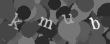 Please type the characters of this captcha image in the input box