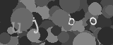 Please type the characters of this captcha image in the input box