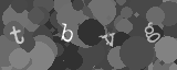 Please type the characters of this captcha image in the input box