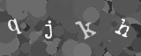 Please type the characters of this captcha image in the input box
