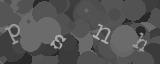 Please type the characters of this captcha image in the input box