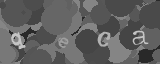 Please type the characters of this captcha image in the input box